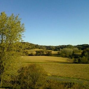 Meet your Posher, Yvonne